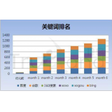 宁津如何防止SEO关键词排名下降